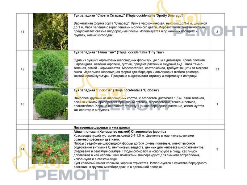 Проект благоустройства территории-102